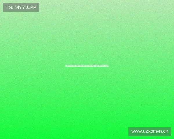 以费内巴切主场为中心探索伊斯坦布尔足球文化与城市激情交汇之旅